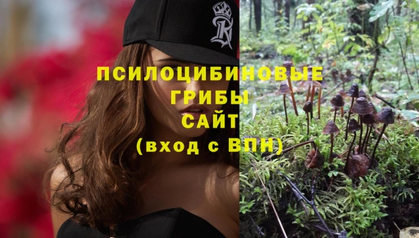 бошки Кукмор