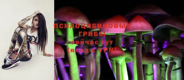 прущая мука Краснослободск