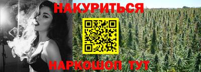 молекула духа Камышлов
