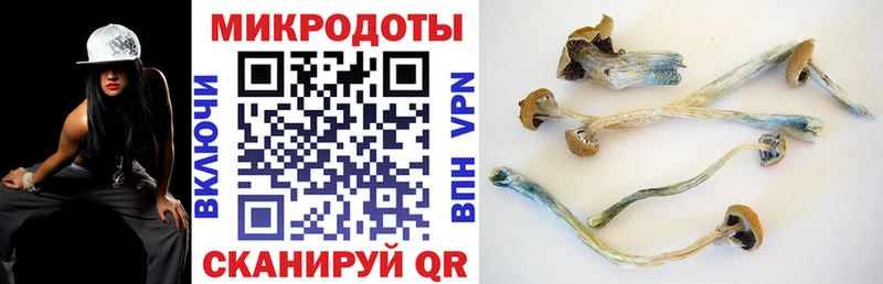 купить   mega маркетплейс  Псилоцибиновые грибы GOLDEN TEACHER  Лангепас 