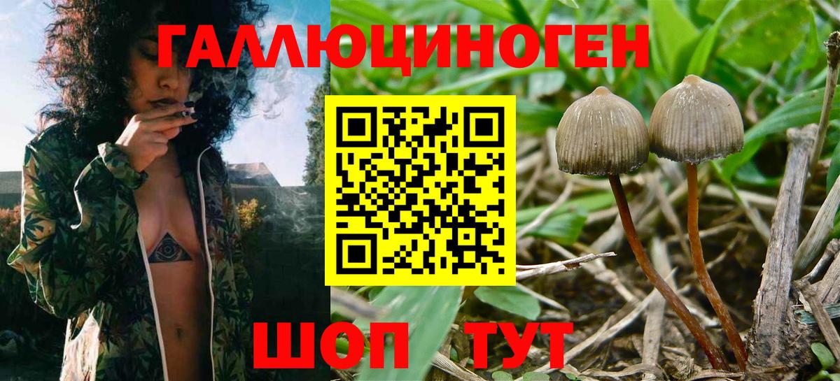 Псилоцибиновые грибы мицелий Лангепас